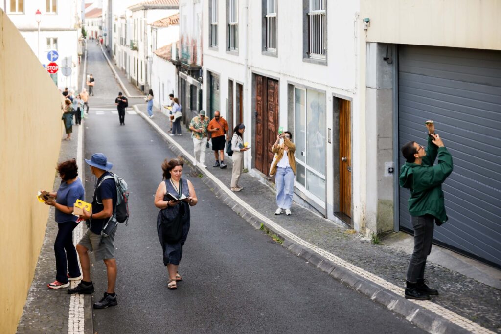 eco walks sara donoso vaga mariana lopes 1