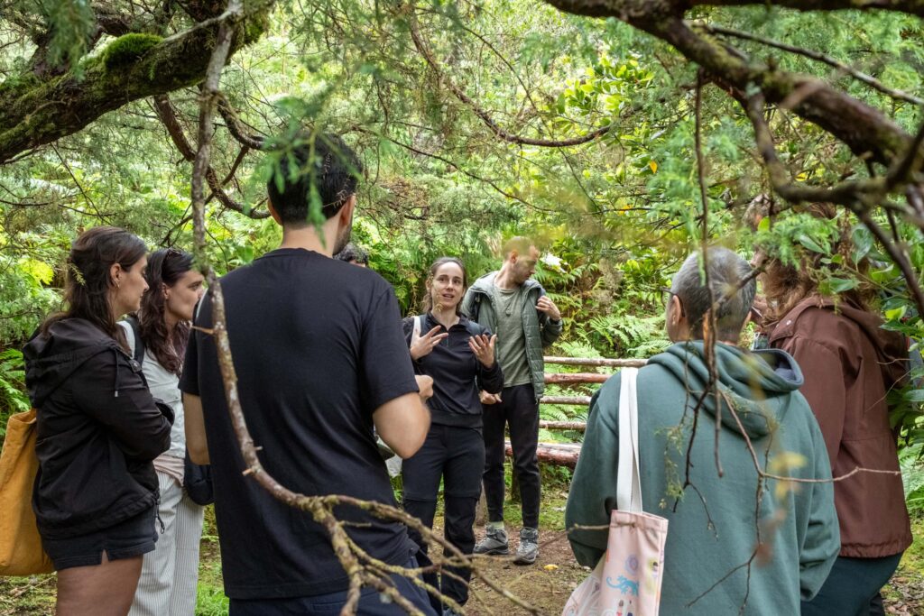 eco walks sara donoso vaga mariana lopes 2