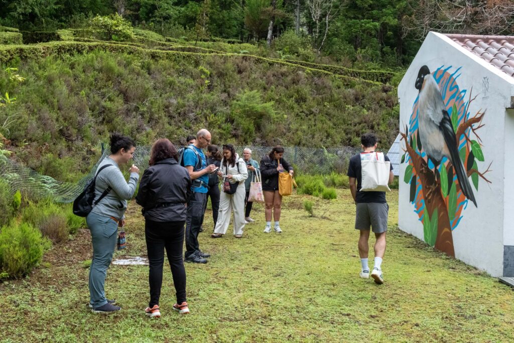 eco walks sara donoso vaga mariana lopes 5